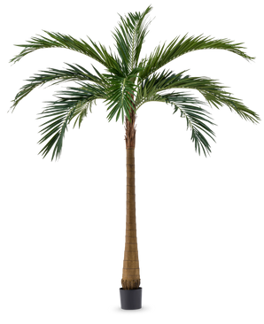 Le palmier artificiel XL Deluxe 270 cm possède un tronc brun haut et élancé et de grandes feuilles vertes qui se dressent élégamment dans un petit pot noir sur un fond blanc.