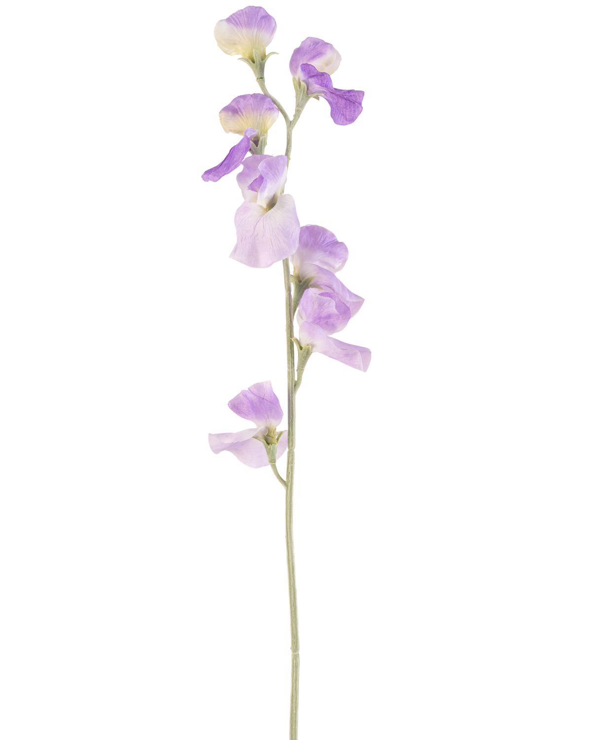 Une seule fleur artificielle de pois lilas de 64 cm avec de délicats pétales violet clair et des feuilles vertes, isolées sur un fond blanc.