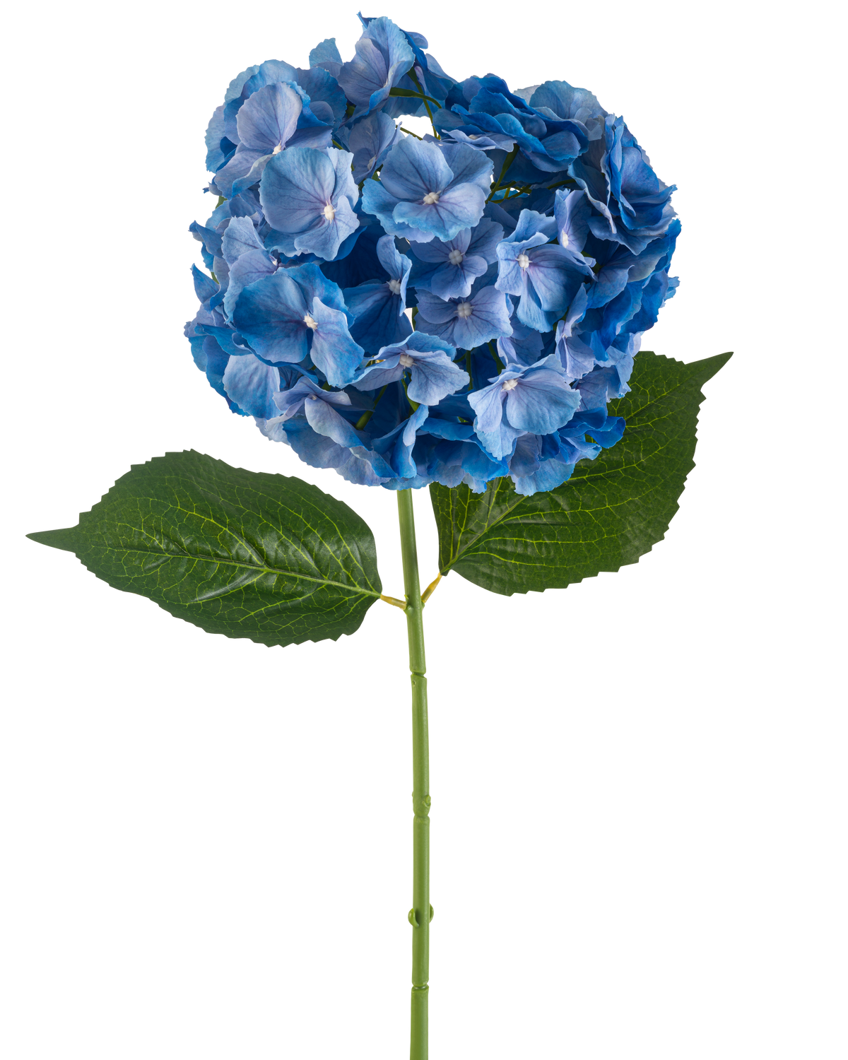 La fleur artificielle Hortensia 75 cm bleu a une seule tige d'hortensia bleue avec une grappe ronde de pétales et deux grandes feuilles vertes sur un fond blanc uni.