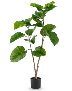 La plante artificielle Ficus Rumphii 120 cm est une plante artificielle haute avec de larges feuilles vertes brillantes et de multiples branches, dans un simple pot noir sur un fond blanc uni.