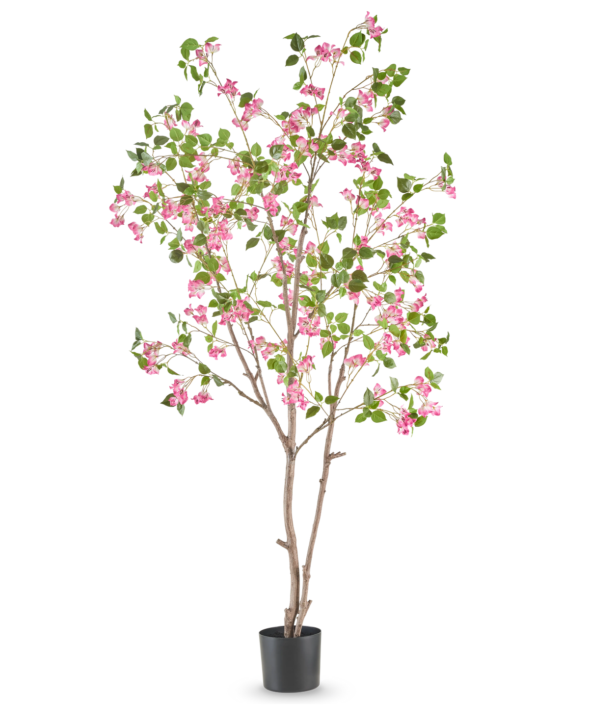 Le bougainvillier artificiel 210 cm est un grand arbre artificiel avec de fines branches brunes, des feuilles vertes et des bouquets de fleurs rose vif dans un simple pot noir sur fond blanc.