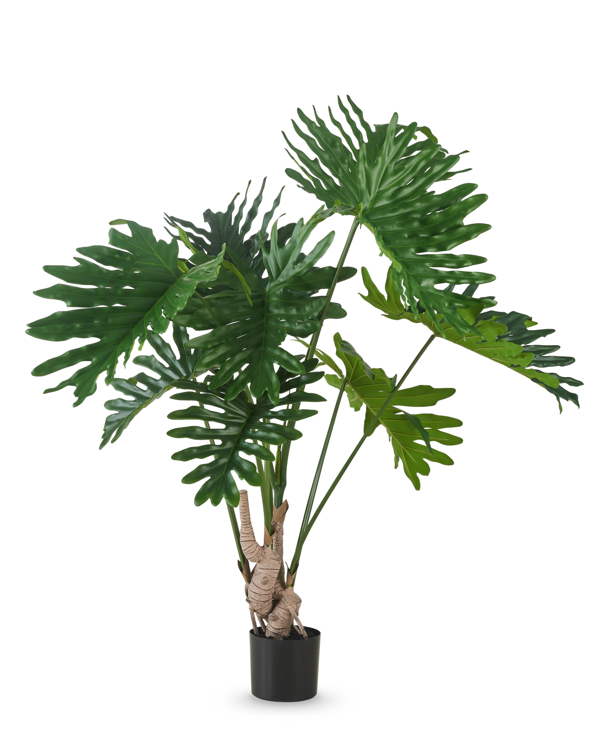La Plante Artificielle Philodendron 150 cm possède de grandes feuilles vertes brillantes et profondément lobées sur de longues tiges, sur un fond blanc uni.