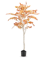 Le Bouleau Artificiel "Automne" 150 cm est un grand bouleau artificiel au tronc blanc élancé et aux feuilles d'automne jaune orangé, dans un petit pot noir sur un fond blanc uni.