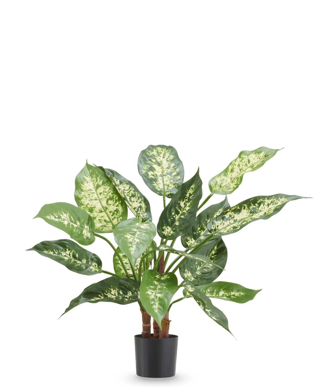 Plante artificielle Dieffenbachia 40 cm, plante artificielle ignifuge avec des feuilles vert vif et blanches dans un pot noir.