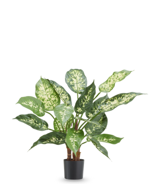 Plante artificielle Dieffenbachia 40 cm, plante artificielle ignifuge avec des feuilles vert vif et blanches dans un pot noir.