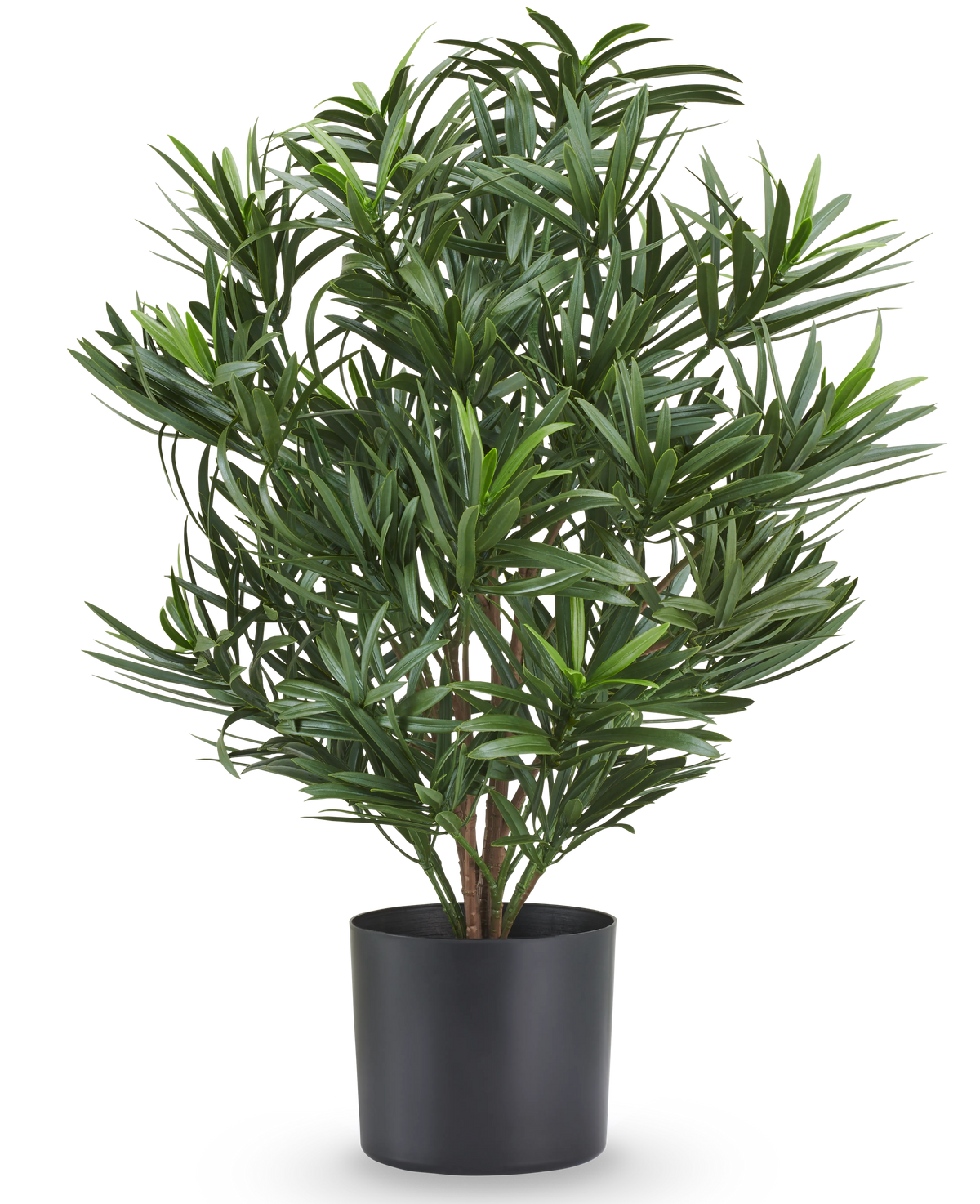 Plante artificielle Podocarpus 47 cm, ignifuge, avec de fines feuilles vertes dans un pot noir.