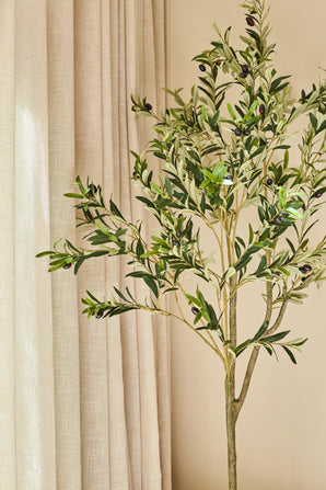 Un olivier artificiel de 150 cm, décoré d'olives foncées, est attrayant à l'intérieur à côté de rideaux beiges et d'un mur marron clair, et donne un aspect calme et naturel - idéal pour tout intérieur avec un olivier.