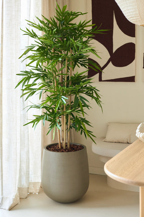 La Plante Artificielle Bambou 150 cm, aux feuilles vertes luxuriantes, est placée à l'intérieur près d'une fenêtre avec des voilages, à côté d'un canapé beige avec un coussin et une décoration murale abstraite dans une pièce moderne décorée dans des tons neutres.