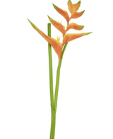 Fleur artificielle Heliconia 110 cm orange