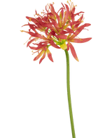 Fleur artificielle Nerine 70 cm fuchsia