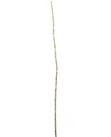 Fleur artificielle Salix willow 150 cm