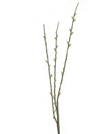 Fleur artificielle Salix willow 70 cm