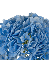 Hortensia artificiel "Annabelle" Real Touch Bleu 55 cm