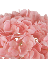 Hortensia artificiel "Annabelle" Real Touch rose 55 cm