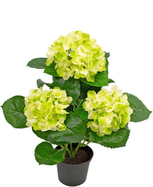 Hortensia artificiel vert 35 cm