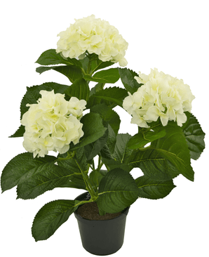 Hortensia synthétique blanc 35 cm