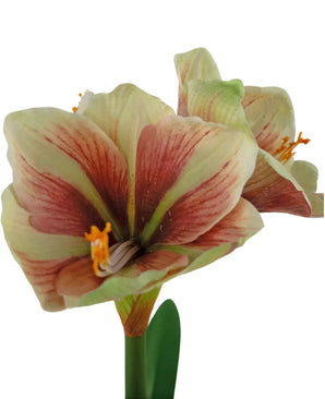 Un gros plan de la fleur artificielle Amaryllis Real Touch Rouge/Jaune 48 cm montre les pétales rouges et jaunes vibrants, la texture réaliste et les feuilles vertes sur un fond blanc.