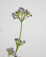 Le gazon artificiel poireau fleur oignon herbe pot 100 cm ignifuge a une seule tige verte avec des bouquets de petites fleurs délicates violet clair, représentées sur un fond blanc uni.