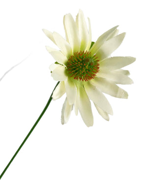 Un seul pot d'oignons de chrysanthème en gazon artificiel, de 60 cm de haut, avec des caractéristiques ignifuges ; une fleur de marguerite blanche artificielle sur une longue tige verte, isolée sur un fond blanc.