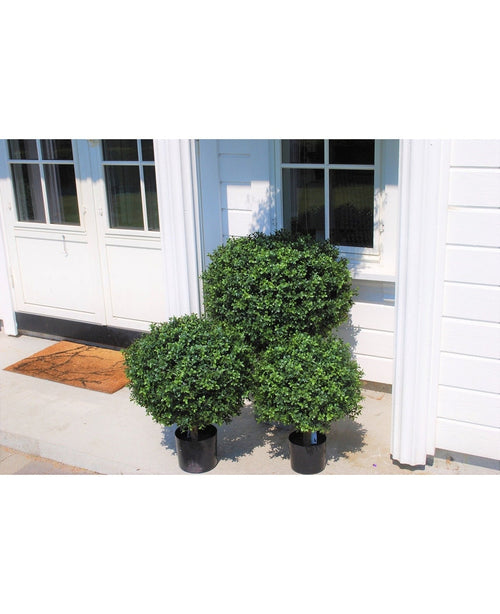 Trois buis artificiels sur tige UV de 40 cm en pot verts ronds se dressent à l'entrée d'une maison blanche aux doubles portes et fenêtres, complétées par un paillasson marron, tandis que la lumière du soleil projette des ombres sur le mur et le sol.