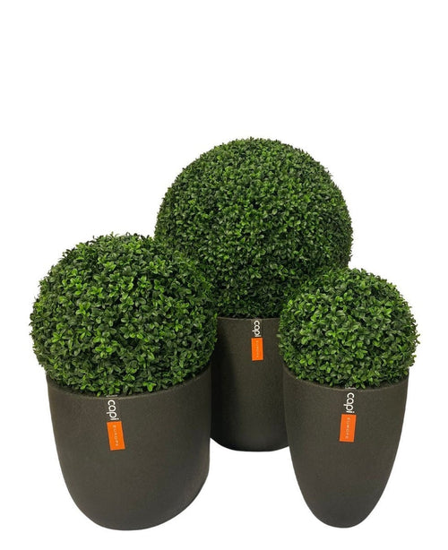 Trois ampoules topiaires UV D30cm de style romain en buis artificiel dans des pots gris foncé, chacune avec une étiquette orange avec du texte blanc, sont regroupées sur un fond blanc uni.