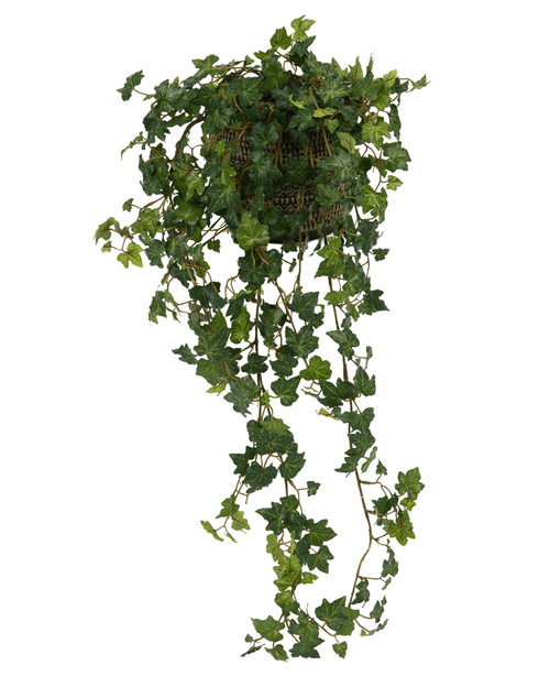Le Lierre Artificiel Deluxe Vert 90 cm est un panier suspendu avec des vignes de lierre vert luxuriantes qui cascadent élégamment sur un fond blanc.