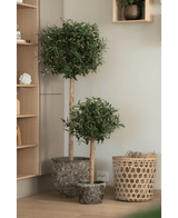 Deux oliviers artificiels UV 85 cm faciles d'entretien avec des troncs élancés se dressent l'un à côté de l'autre sur un plancher en bois à côté d'un panier tressé et de planches de bois dans un intérieur moderne et minimaliste.