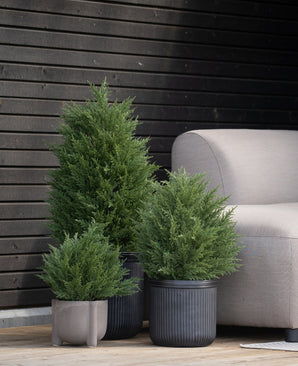Trois plantes à feuilles persistantes en pot, dont une plante artificielle conifère deluxe UV 90 cm, se dressent sur un plancher en bois à côté d'un canapé gris clair, avec un mur en bois foncé derrière lui pour un accent végétal élégant et sans entretien.