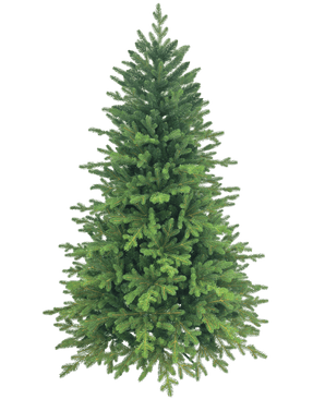 Le Sapin de Noël Artificiel "Ibsen" PE/PVC est plein et vert avec des branches denses sur un fond blanc uni, prêt pour vos décorations de Noël préférées.