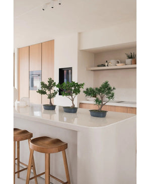 Trois bonsaïs artificiels Podocarpus de 40 cm en pots se trouvent sur un îlot de cuisine blanc avec deux tabourets en bois en dessous. La cuisine moderne dispose d'armoires en bois clair et d'étagères ouvertes avec plantes et décoration.