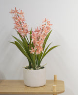 Le Cymbidium artificiel 58 cm rose, une plante verte avec de longues feuilles et de longues tiges avec des fleurs rose clair dans un pot en céramique blanche, se dresse sur une table en bois clair contre un mur blanc uni.