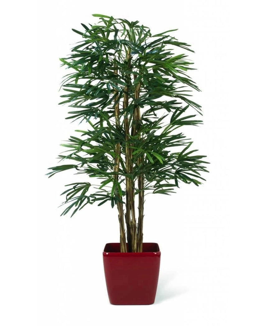 La Plante Artificielle Lady Palm 180 cm ignifuge est un grand palmier artificiel avec de fines tiges vertes et des feuilles longues et étroites, présenté dans un pot carré rouge brillant sur fond blanc.