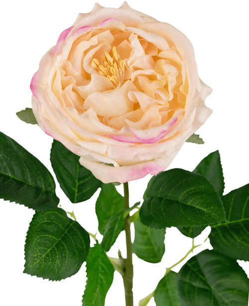 Un gros plan de la Rose de Jardin Artificielle "Anniken" Real Touch pêche (72 cm), une rose pêche artificielle avec de délicats pétales bordés de rose et des feuilles vertes sur une tige, sur fond blanc.