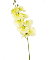 Orchidée artificielle Real Touch Deluxe 105 cm blanc/jaune