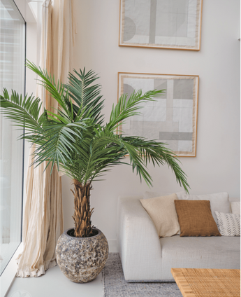 Palmier artificiel Phoenix Canary 160 cm