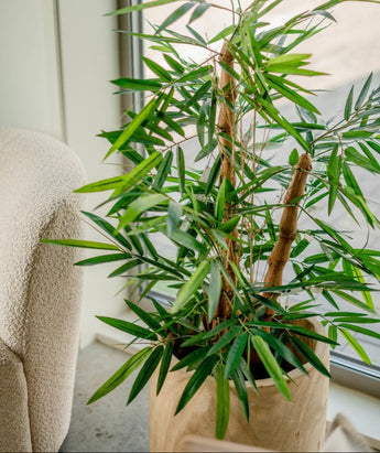 Plante artificielle Bambou Buddha 120 cm
