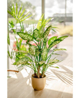 Plante artificielle Dieffenbachia 75 cm
