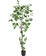 Plante artificielle Ficus 210 cm