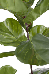 Plante artificielle Ficus Tobacco Plant Deluxe 125 cm