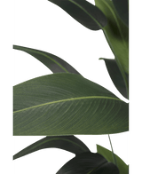 Plante artificielle Heliconia 180 cm