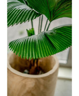 Plante artificielle Lucuala Grandis 120 cm