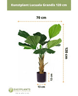 Plante artificielle Lucuala Grandis 120 cm