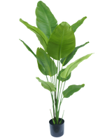 Plante artificielle Strelitzia 150 cm real touch