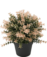 Plante artificielle cyprès rose 22 cm UV