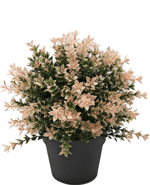 Plante artificielle cyprès rose 22 cm UV