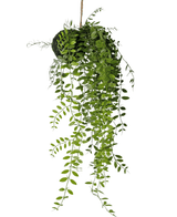 Plante artificielle tombante Pumila ball 30 cm
