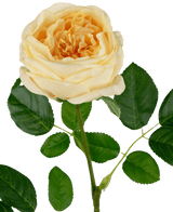 Rose de jardin artificielle "Anniken" Real Touch jaune 72cm