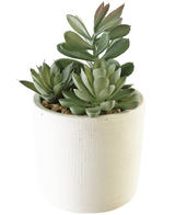 Succulente artificielle 20 cm