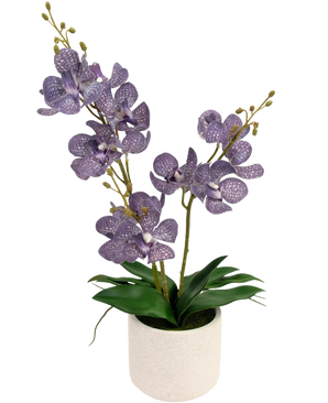 L'Ascocenda artificielle 50 cm violette possède deux tiges de fleurs d'orchidées violettes mouchetées avec des feuilles vertes dans un pot blanc, sur un fond blanc uni.