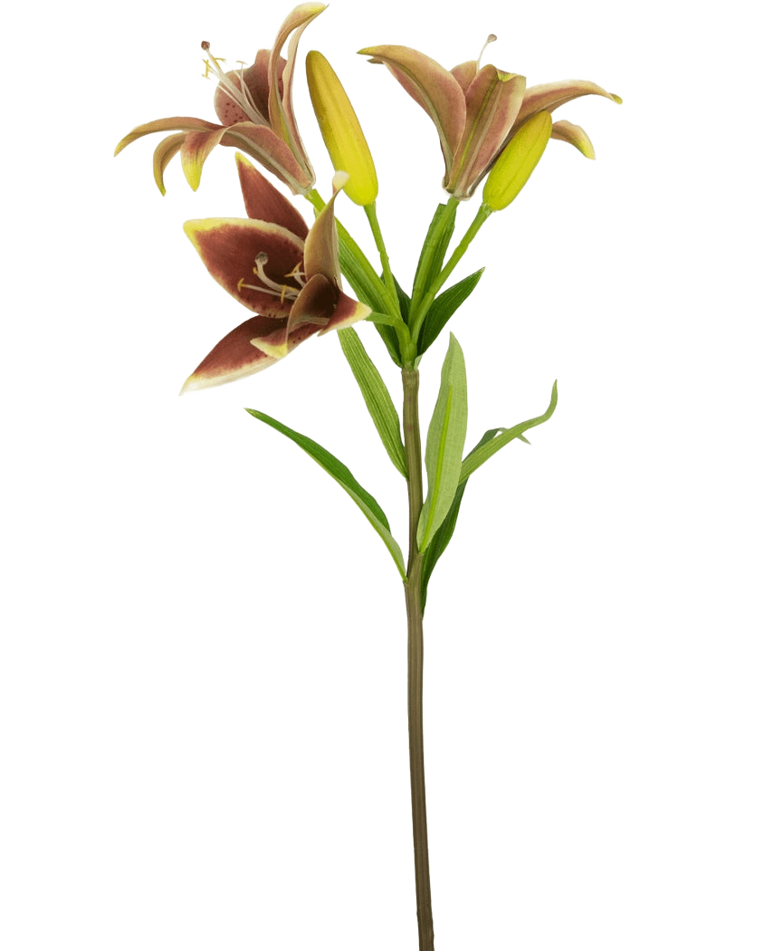 La Fleur Artificielle Lys Asiatique 66 cm vieux rose possède une tige unique avec trois fleurs de lys artificielles roses - deux en fleurs et une en bouton - avec des feuilles vertes, sur un fond blanc uni.